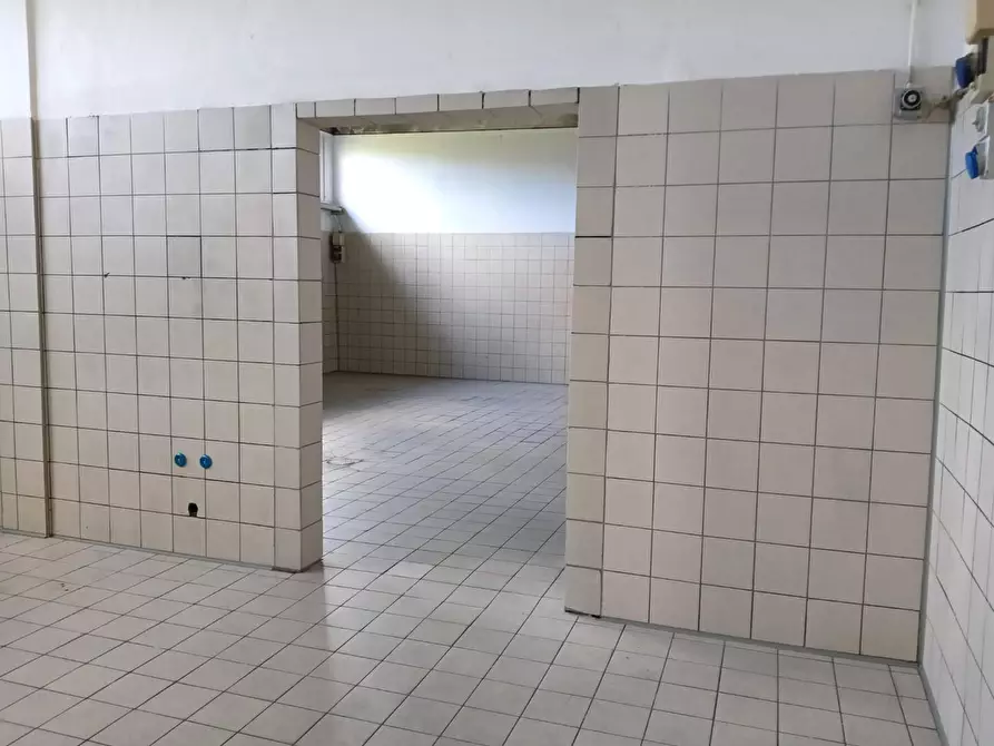 Immagine 3 di Laboratorio in affitto  a San Giuliano Terme