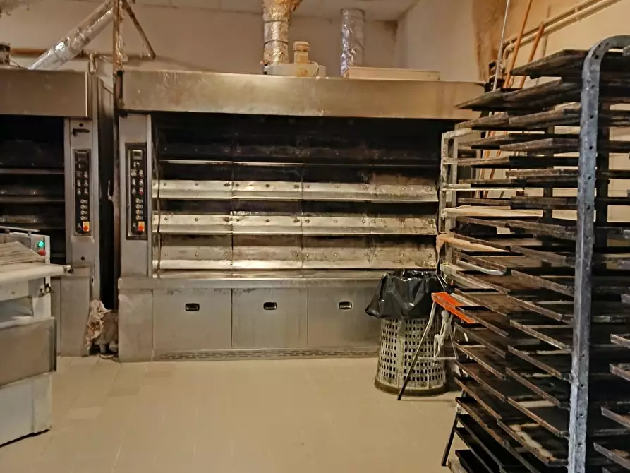 Immagine 5 di Laboratorio in affitto  a San Giuliano Terme