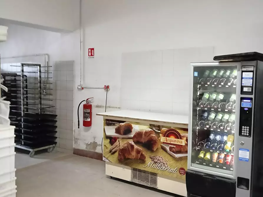 Immagine 4 di Laboratorio in affitto  a San Giuliano Terme