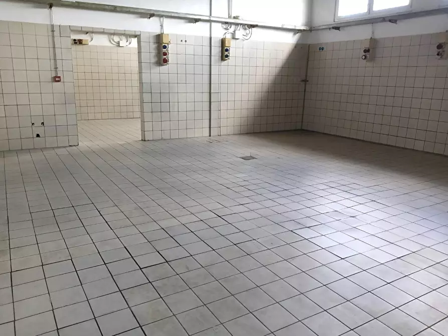 Immagine 5 di Laboratorio in affitto  a San Giuliano Terme