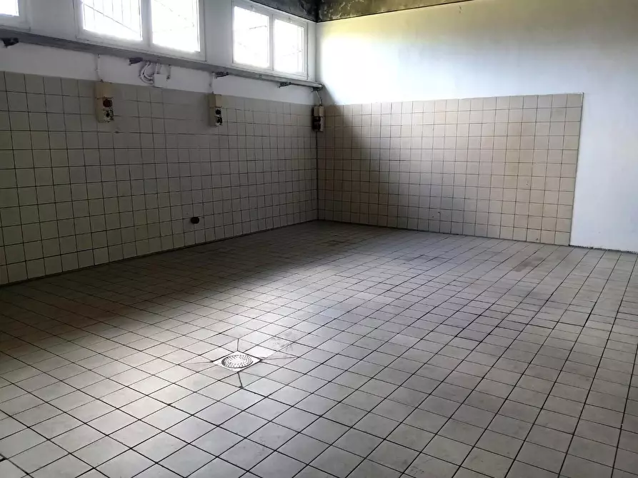 Immagine 2 di Laboratorio in affitto  a San Giuliano Terme
