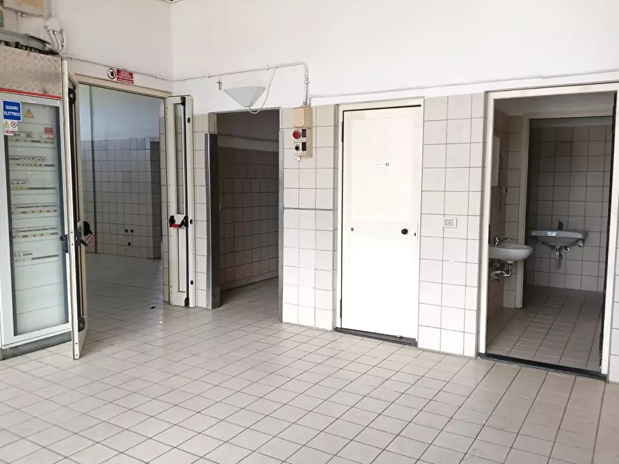 Immagine 9 di Laboratorio in affitto  a San Giuliano Terme