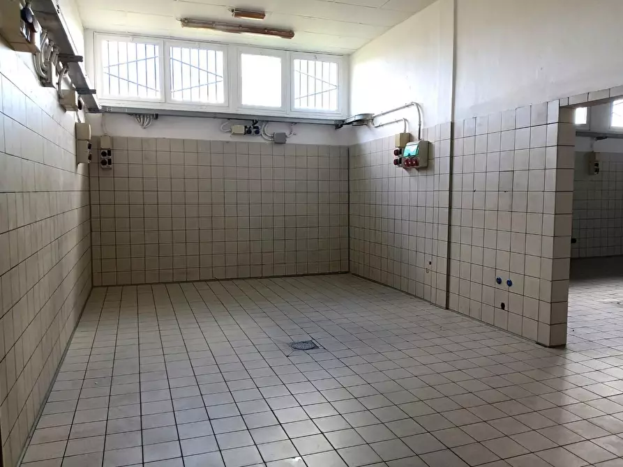 Immagine 6 di Laboratorio in affitto  a San Giuliano Terme