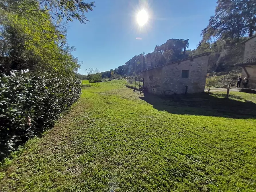 Immagine 6 di Rustico / casale in vendita  a Montaione