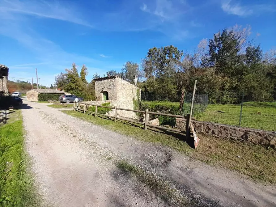Immagine 4 di Rustico / casale in vendita  a Montaione