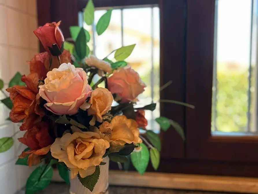 Immagine 19 di Appartamento in vendita  a Cecina