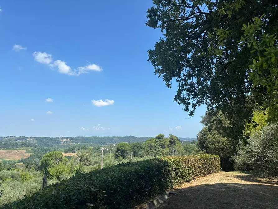 Immagine 49 di Casa colonica in vendita  a Peccioli