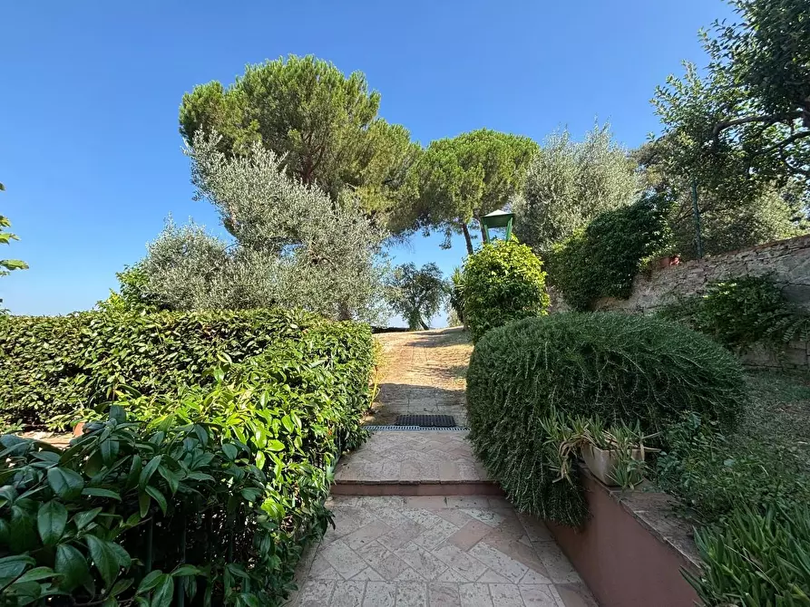 Immagine 47 di Casa colonica in vendita  a Peccioli