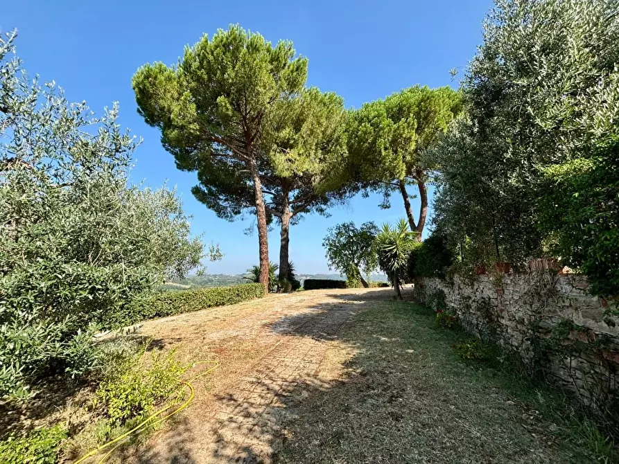 Immagine 4 di Casa colonica in vendita  a Peccioli