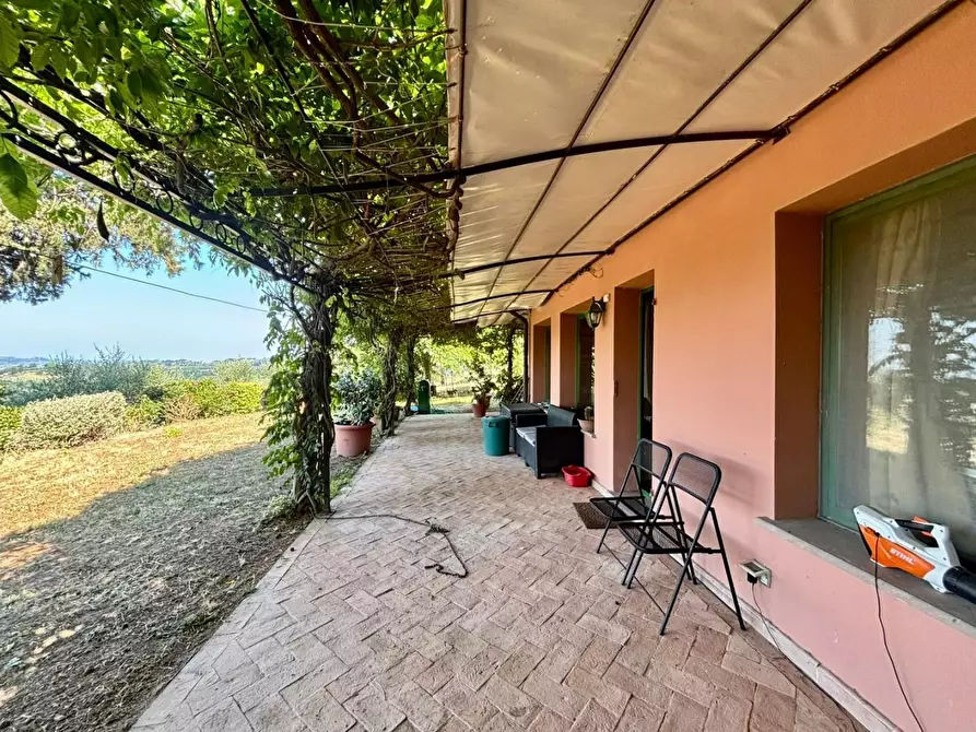 Immagine 24 di Casa colonica in vendita  a Peccioli