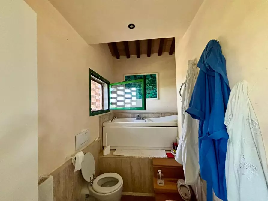 Immagine 107 di Casa colonica in vendita  a Peccioli