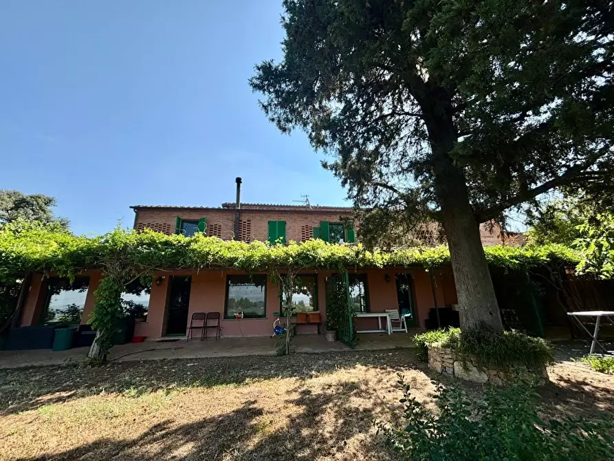 Immagine 2 di Casa colonica in vendita  a Peccioli