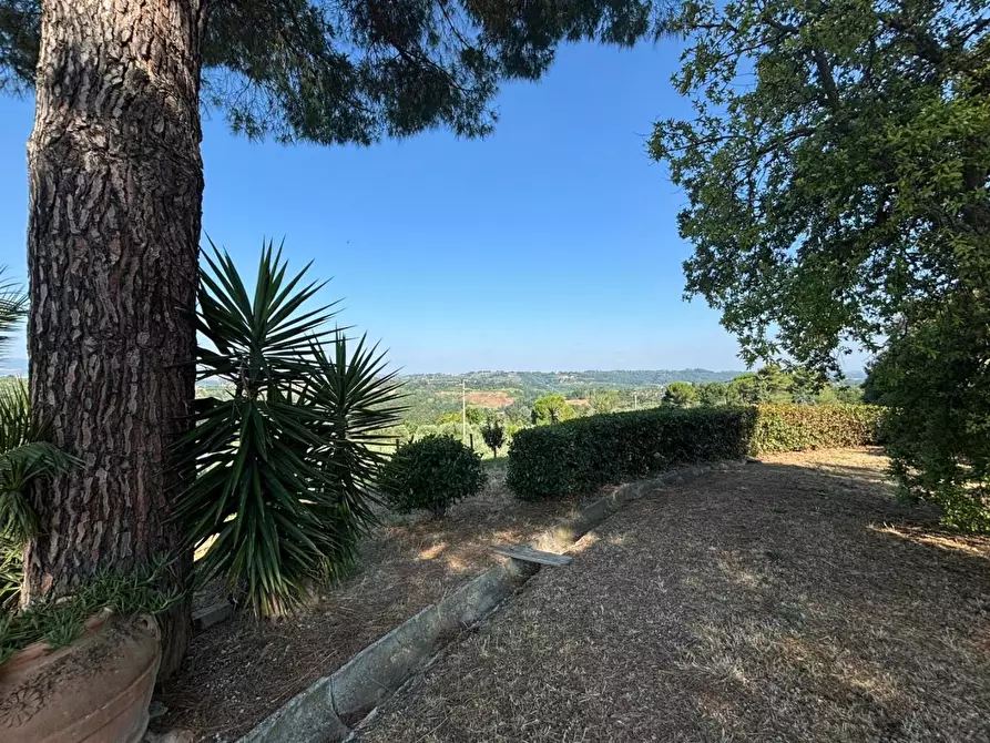 Immagine 46 di Casa colonica in vendita  a Peccioli