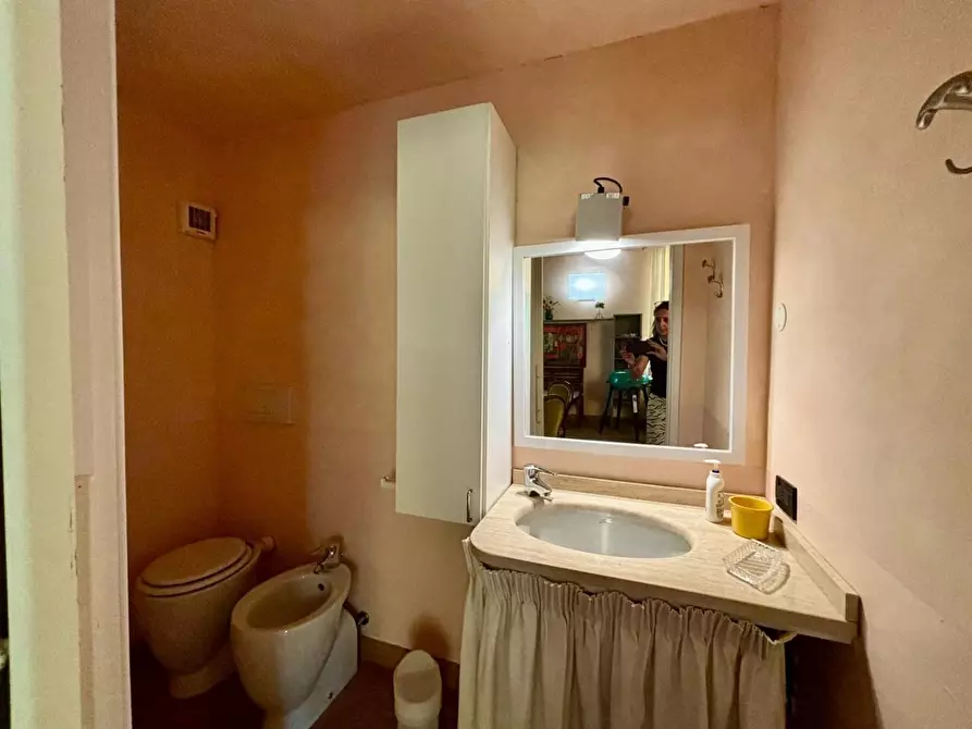 Immagine 101 di Casa colonica in vendita  a Peccioli