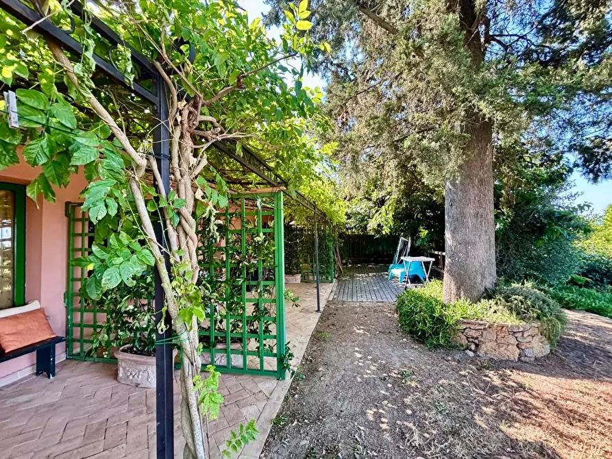 Immagine 25 di Casa colonica in vendita  a Peccioli