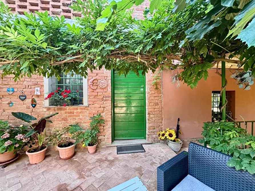 Immagine 21 di Casa colonica in vendita  a Peccioli