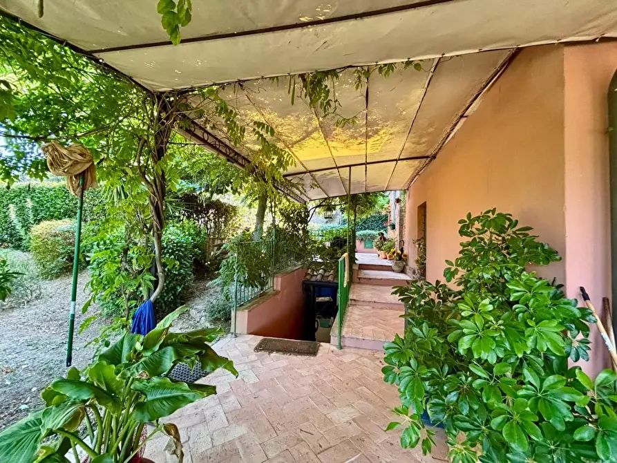 Immagine 27 di Casa colonica in vendita  a Peccioli