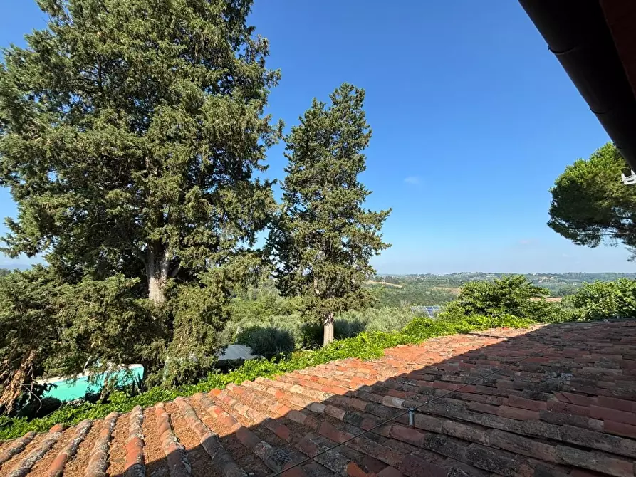 Immagine 17 di Casa colonica in vendita  a Peccioli