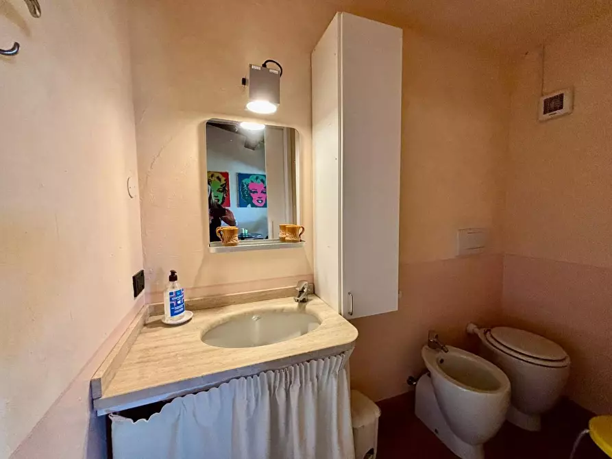 Immagine 100 di Casa colonica in vendita  a Peccioli