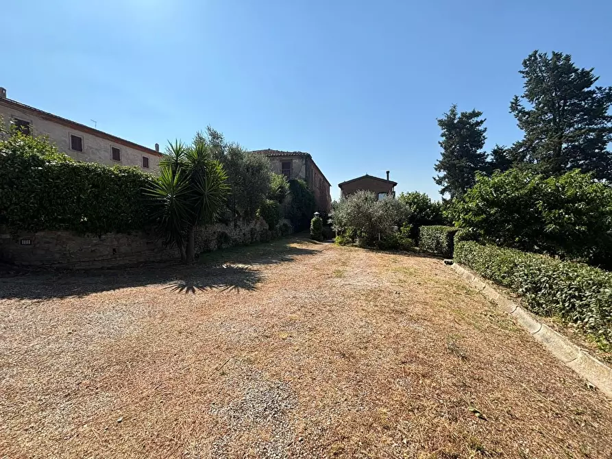 Immagine 8 di Casa colonica in vendita  a Peccioli