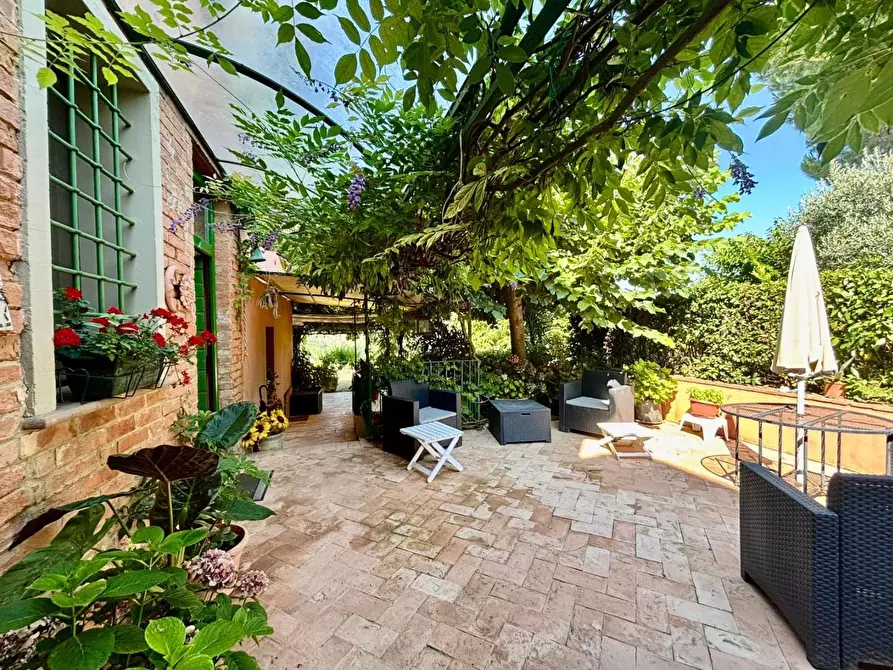 Immagine 29 di Casa colonica in vendita  a Peccioli