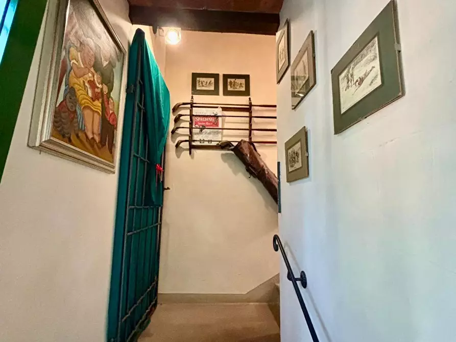 Immagine 80 di Casa colonica in vendita  a Peccioli