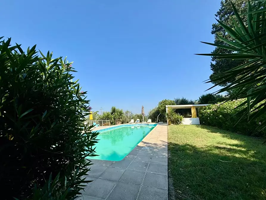 Immagine 44 di Casa colonica in vendita  a Peccioli