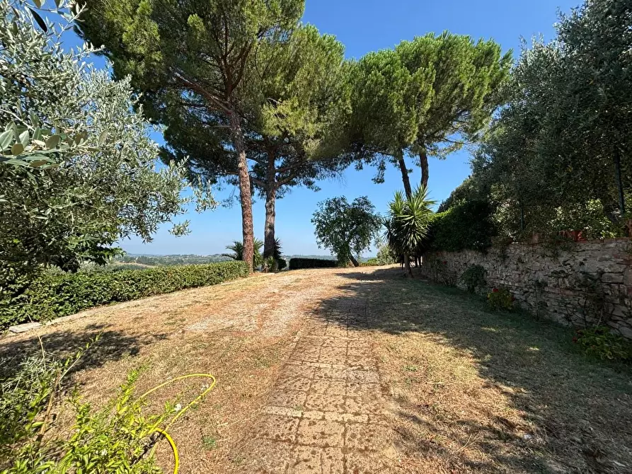 Immagine 3 di Casa colonica in vendita  a Peccioli