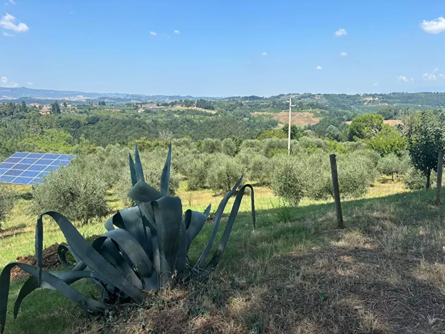Immagine 51 di Casa colonica in vendita  a Peccioli