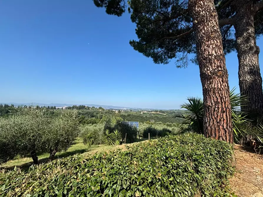 Immagine 45 di Casa colonica in vendita  a Peccioli