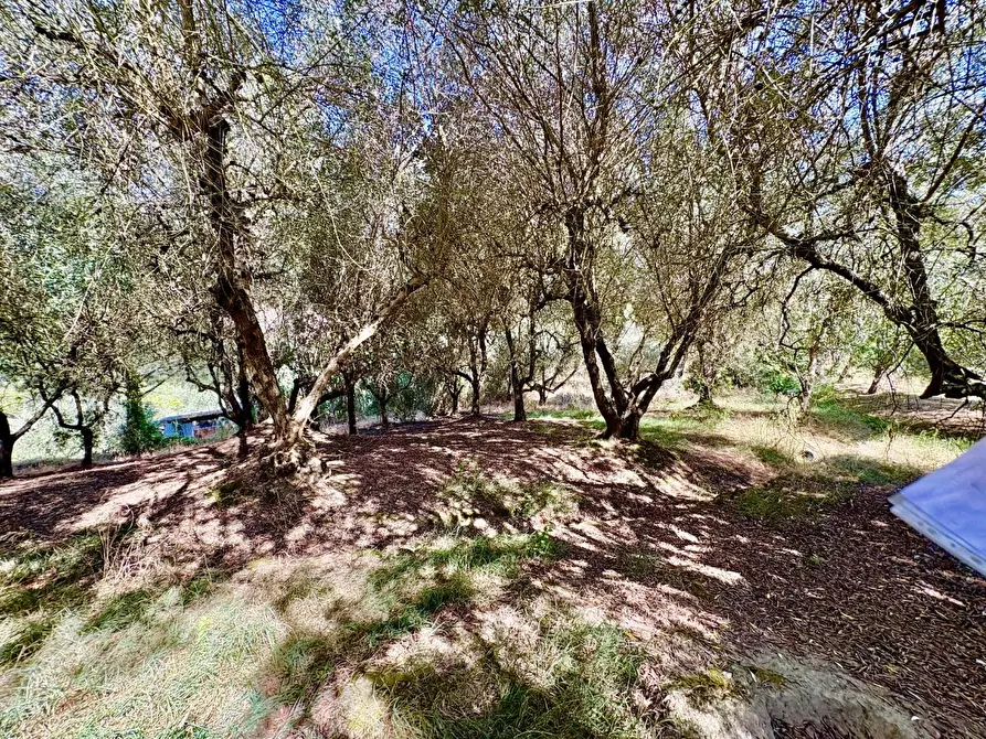 Immagine 47 di Casa indipendente in vendita  a Volterra