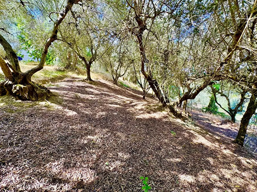 Immagine 48 di Casa indipendente in vendita  a Volterra