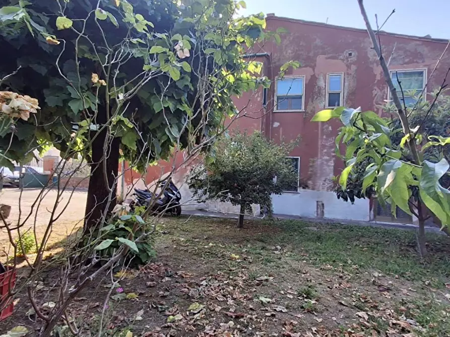 Immagine 5 di Terratetto in vendita  a San Giuliano Terme