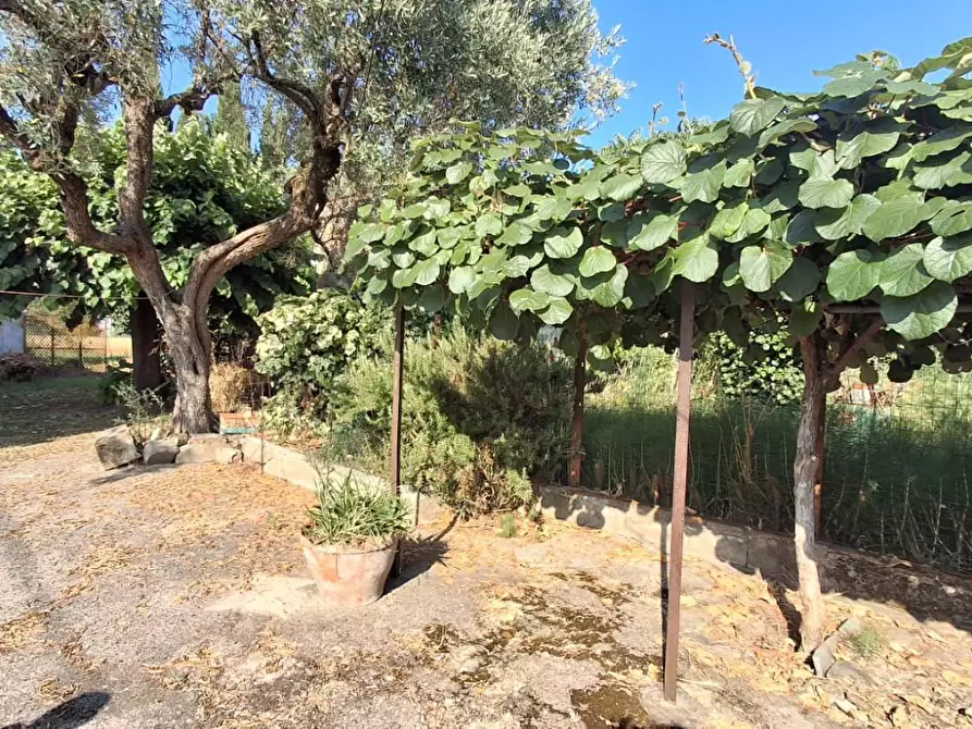 Immagine 2 di Terratetto in vendita  a San Giuliano Terme