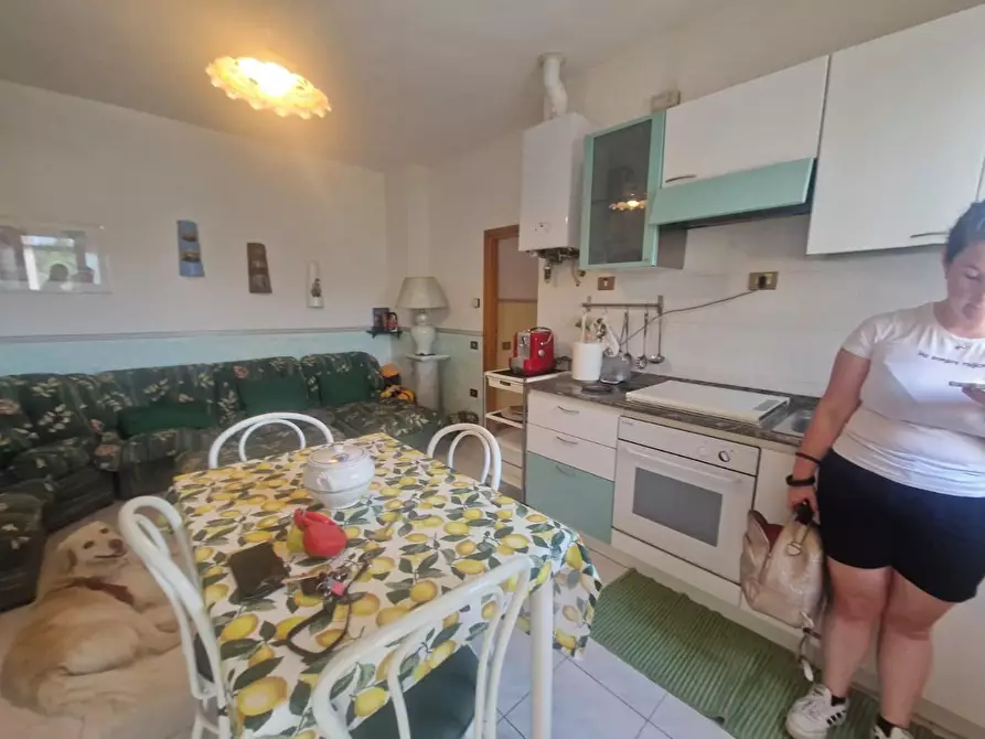 Immagine 6 di Appartamento in vendita  a Rosignano Marittimo