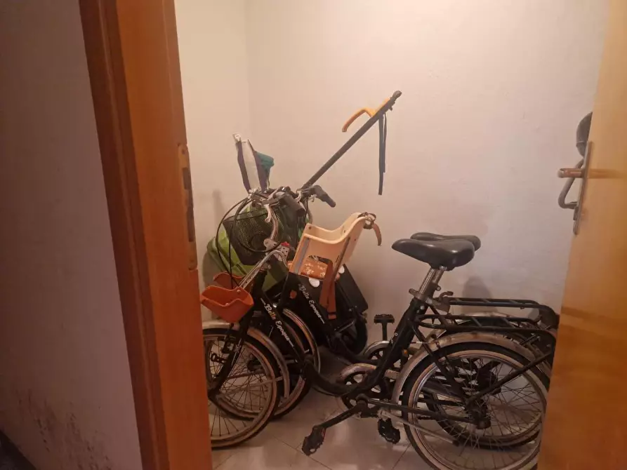 Immagine 17 di Appartamento in vendita  a Rosignano Marittimo