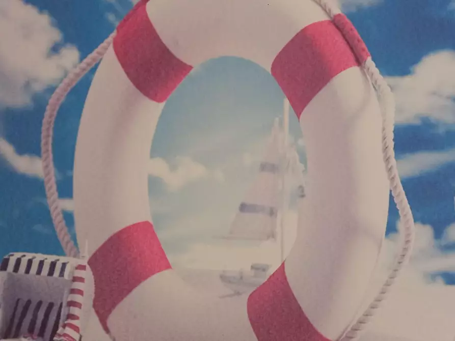 Immagine 34 di Appartamento in vendita  a Camaiore