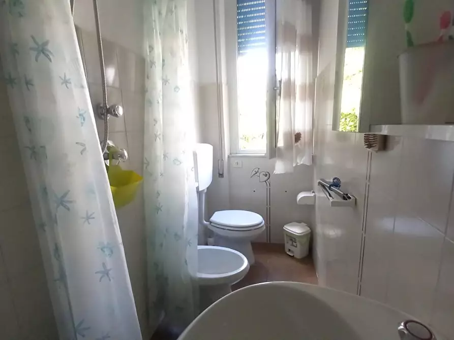 Immagine 10 di Appartamento in vendita  a Camaiore