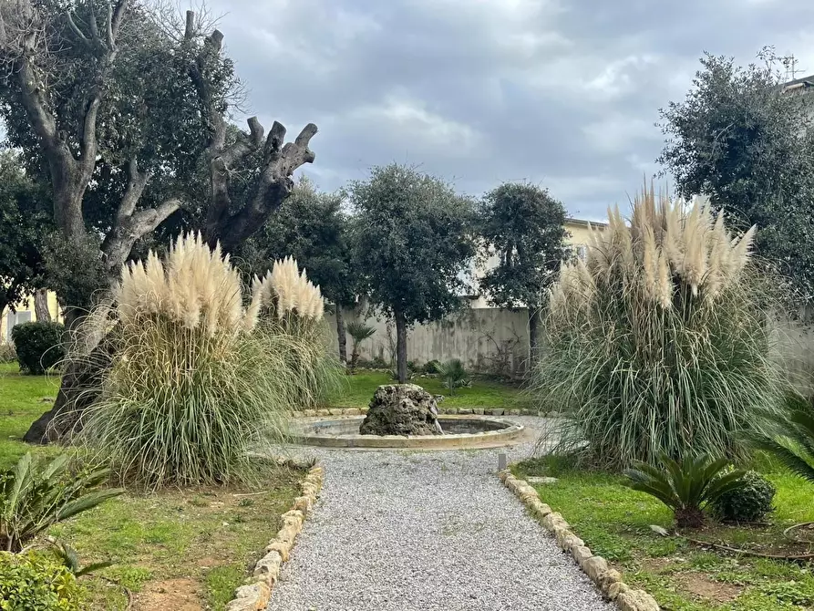 Immagine 5 di Appartamento in vendita  a Livorno