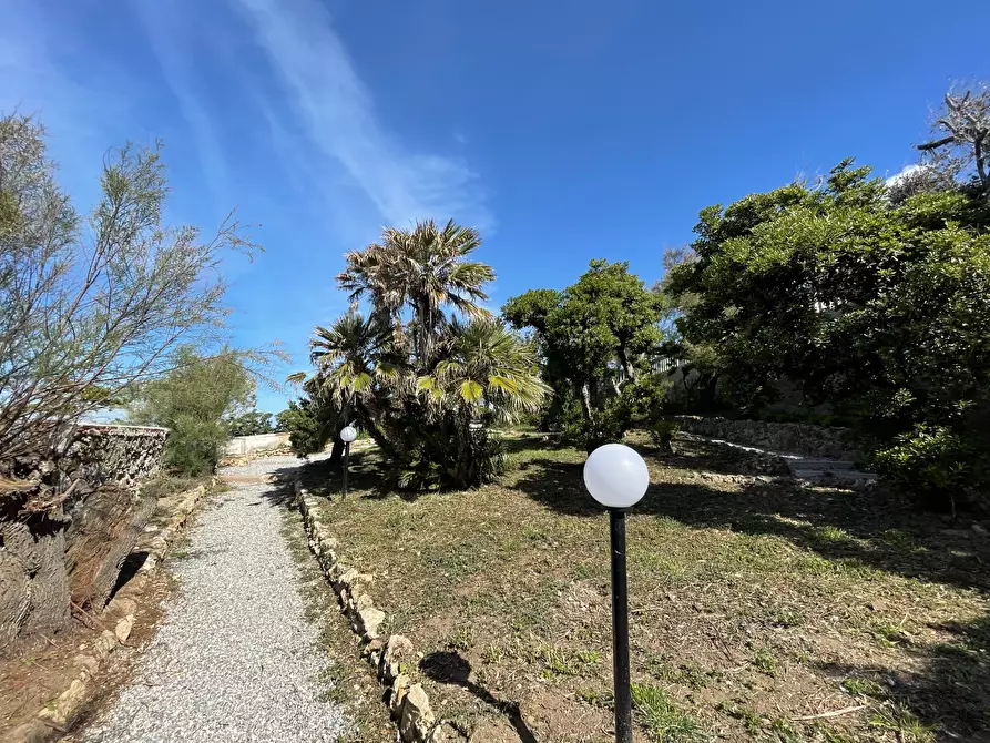 Immagine 7 di Appartamento in vendita  a Livorno