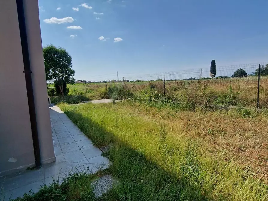 Immagine 4 di Villetta a schiera in vendita  a Crespina Lorenzana