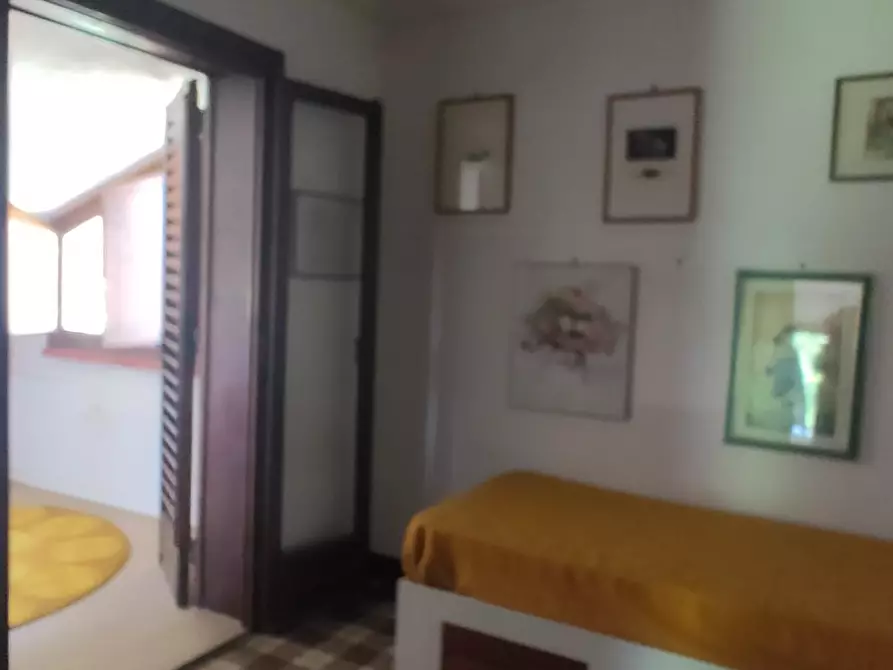 Immagine 16 di Villa in vendita  a Capannori