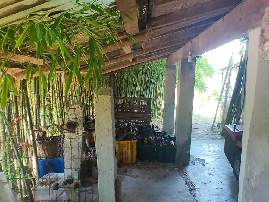 Immagine 43 di Villa in vendita  a Capannori