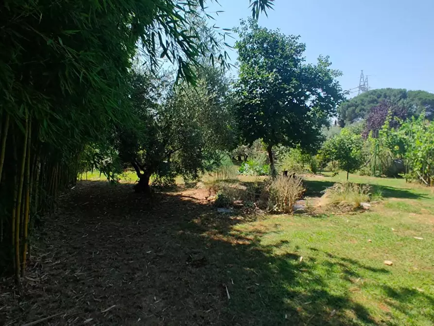 Immagine 45 di Villa in vendita  a Capannori