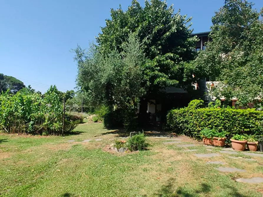 Immagine 44 di Villa in vendita  a Capannori