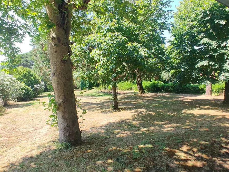 Immagine 30 di Villa in vendita  a Capannori