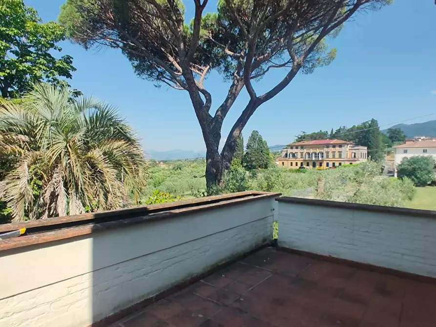 Immagine 15 di Villa in vendita  a Capannori