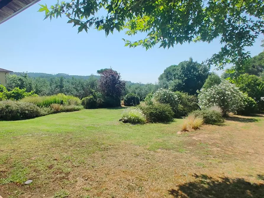 Immagine 29 di Villa in vendita  a Capannori