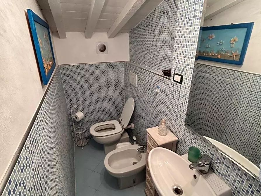 Immagine 26 di Appartamento in affitto  a Pisa