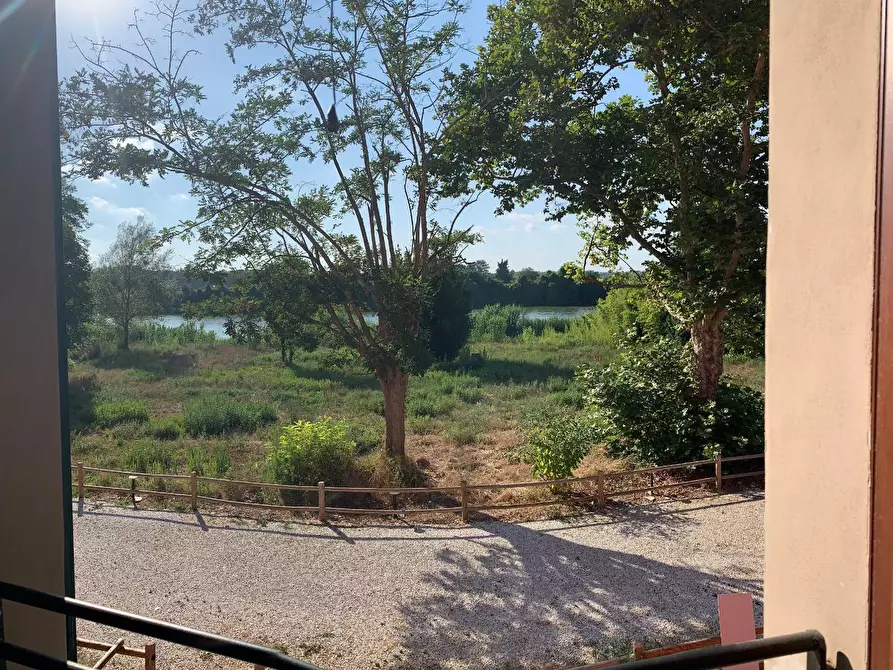 Immagine 8 di Appartamento in vendita  a Pisa